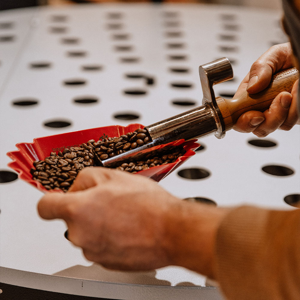 Röstereiführung bei Imping Kaffee